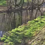 Atypique : La Grotte Bez-et-Esparon