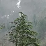 Atypique : La Grotte